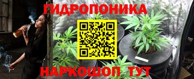 ПСИЛОЦИБИНОВЫЕ ГРИБЫ Моздок