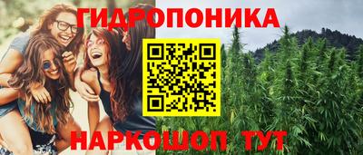 ПСИЛОЦИБИНОВЫЕ ГРИБЫ Моздок