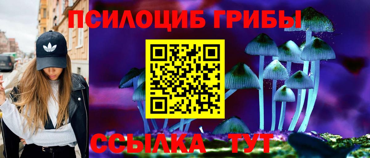 Псилоцибиновые грибы Psilocybe  Вход с VPN  Псилоцибиновые грибы Cubensis  закладки  Фурманов 